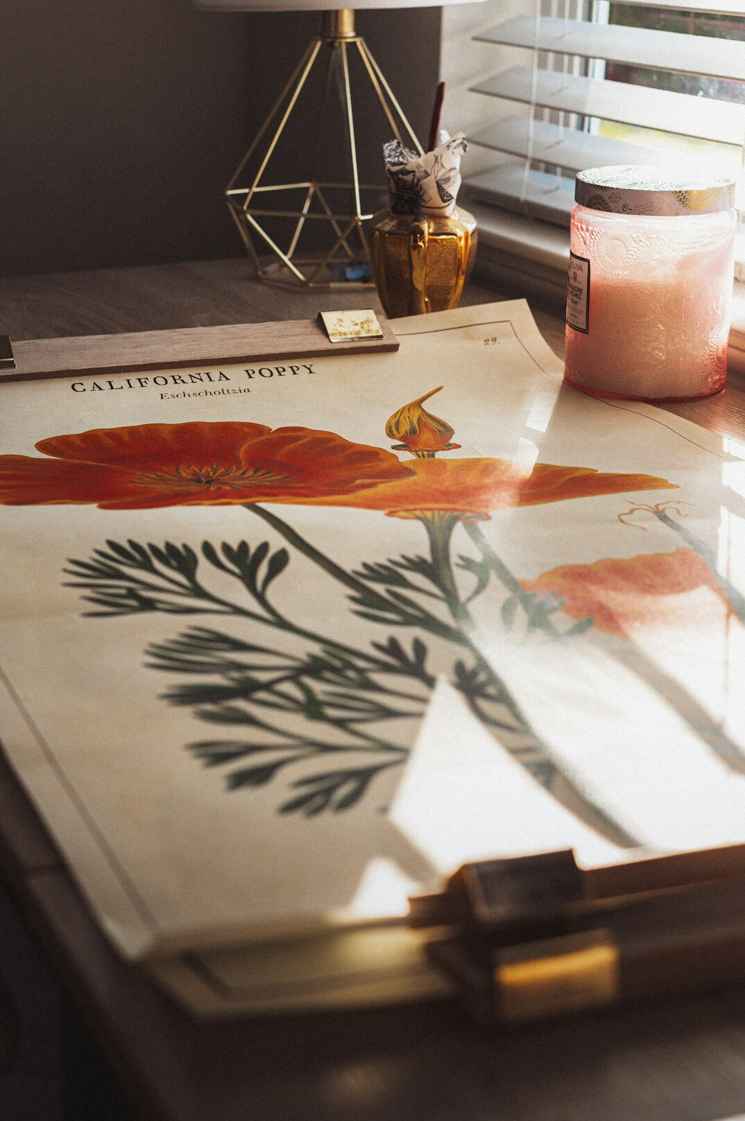Documents, pen and notebook on a desk