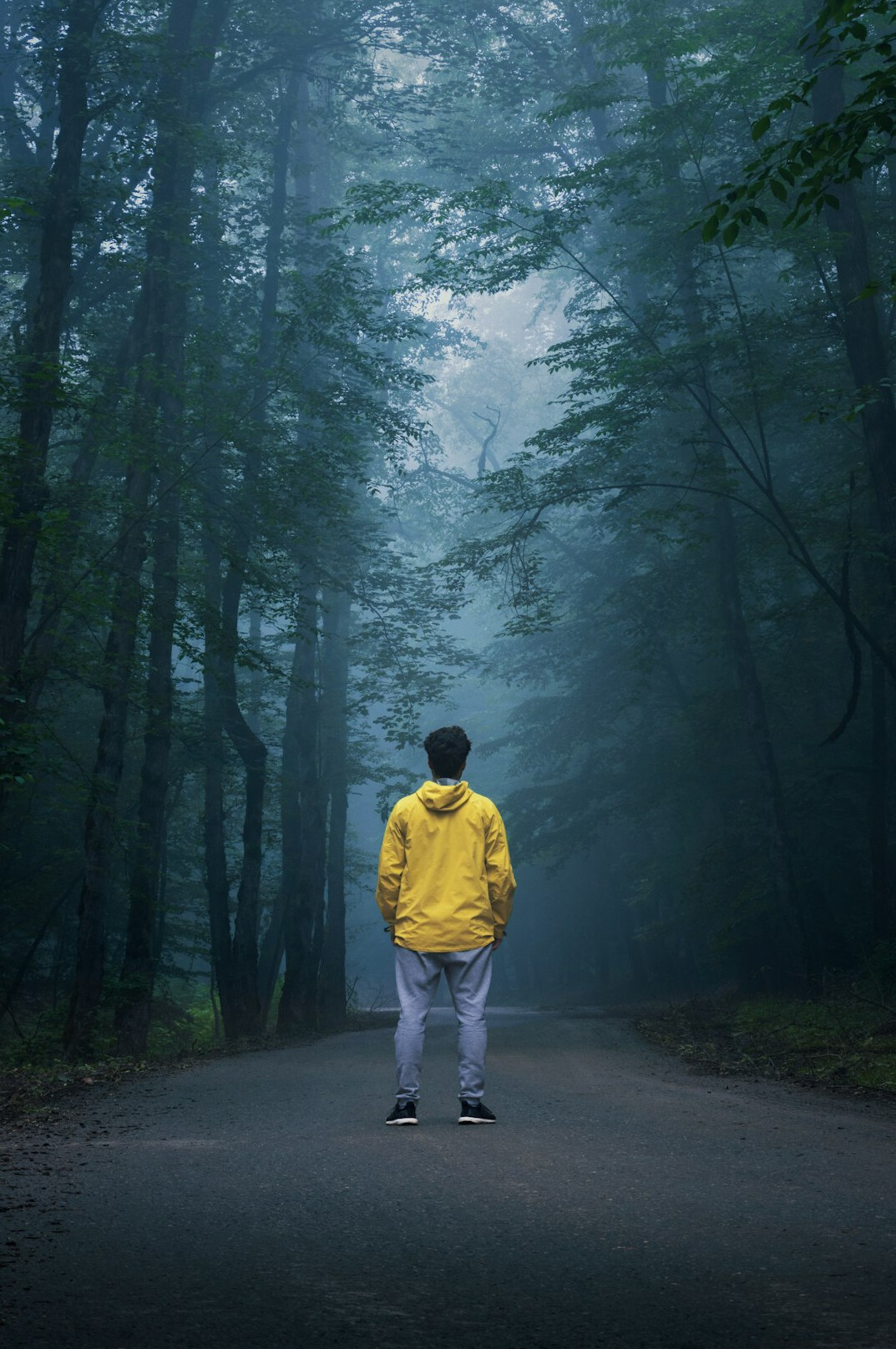 man walking alone in misty forest