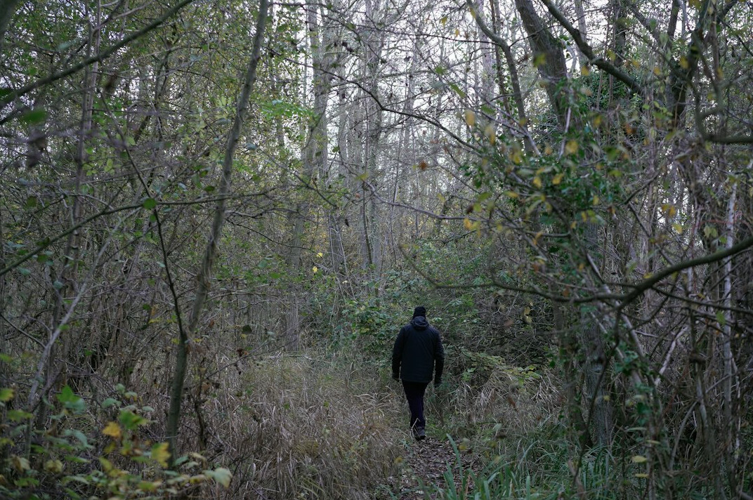 police search team in woods