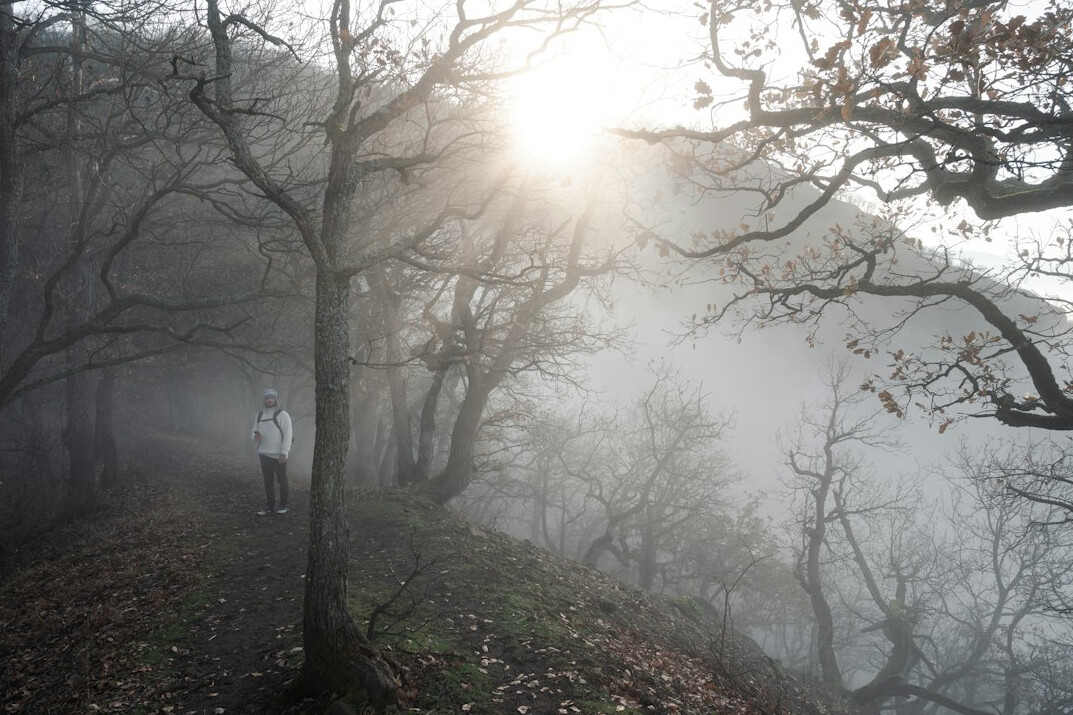 man walking alone in misty forest